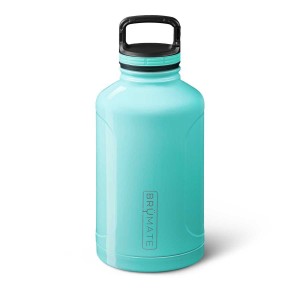 Light Turquoise Brumate Growl'r Water Bottles | 6405UVXWT