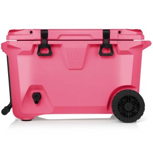 Pink Brumate Br Coolers | 1928MPSNR