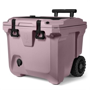 Purple Brumate Br Coolers | 3458YJLBN