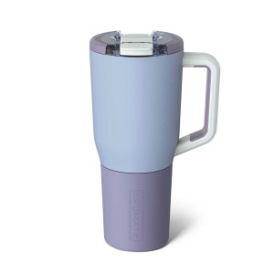 Purple / Light Blue Brumate M Water Bottles | 3780TUSGI