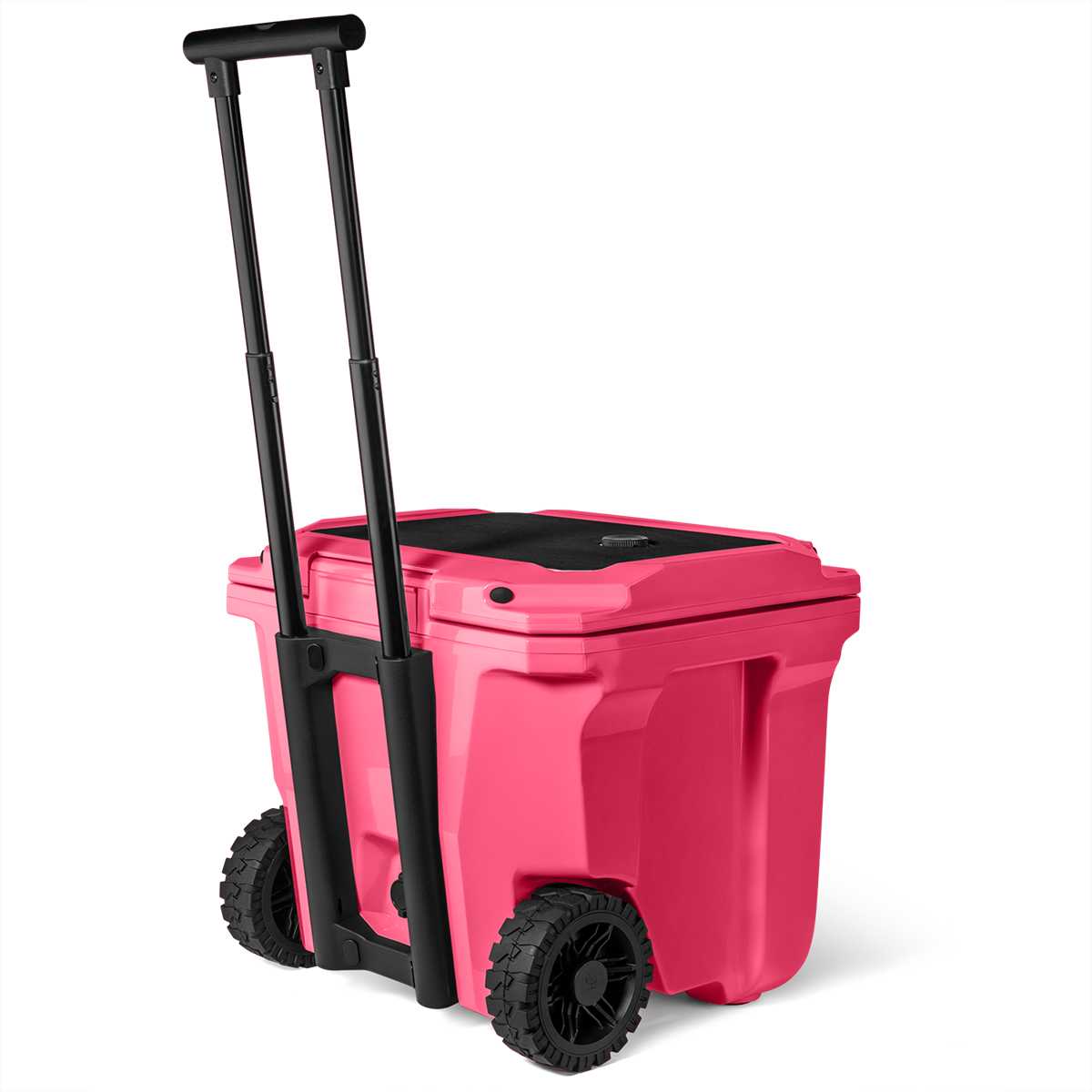 Pink Brumate Br Coolers | 8276YZBIX